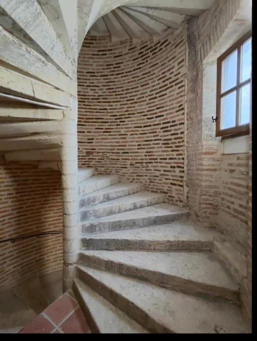 Tour Medievale Unesco 阿尔比 外观 照片